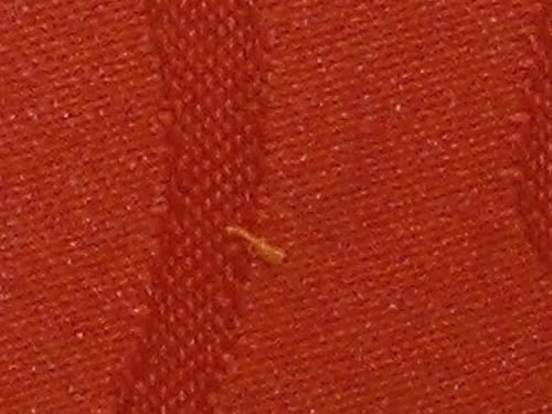Paris terracotta 43970